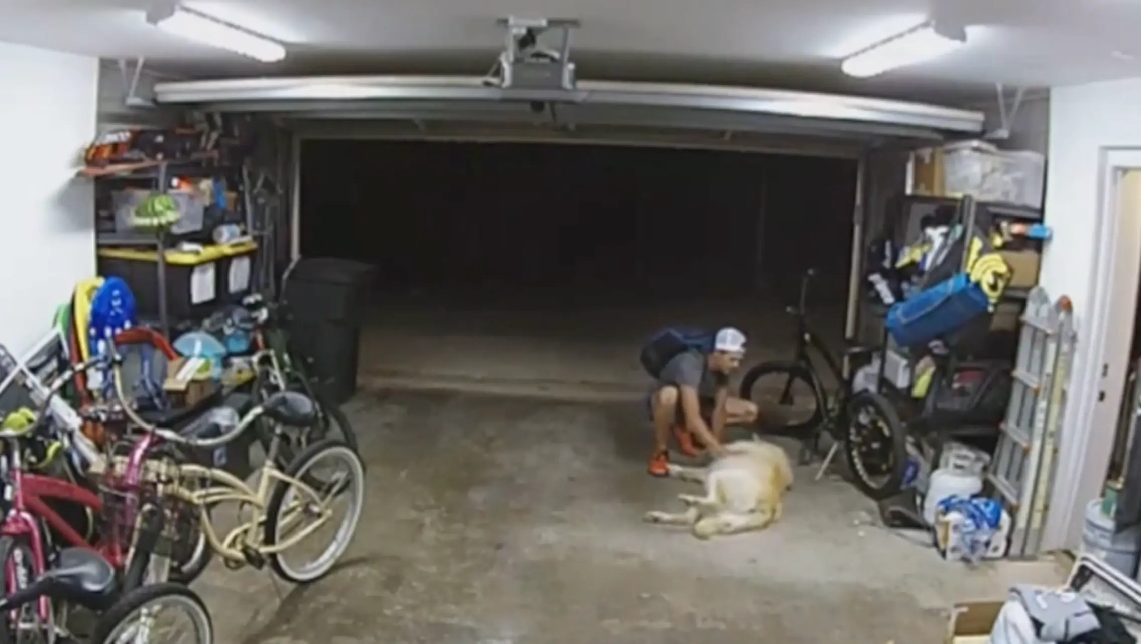 The burglar stopped to pat the dog.