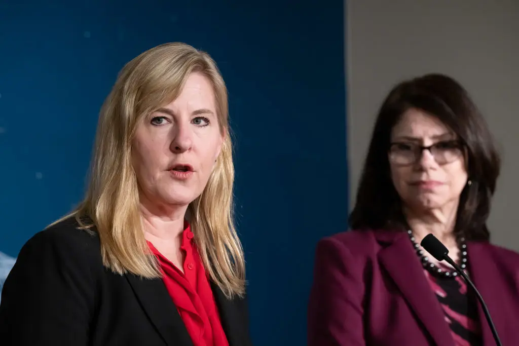 Minnesota Legislature House Speaker Melissa Hortman - seen left - has tragically died (Glen Stubbe/Star Tribune via Getty Images)