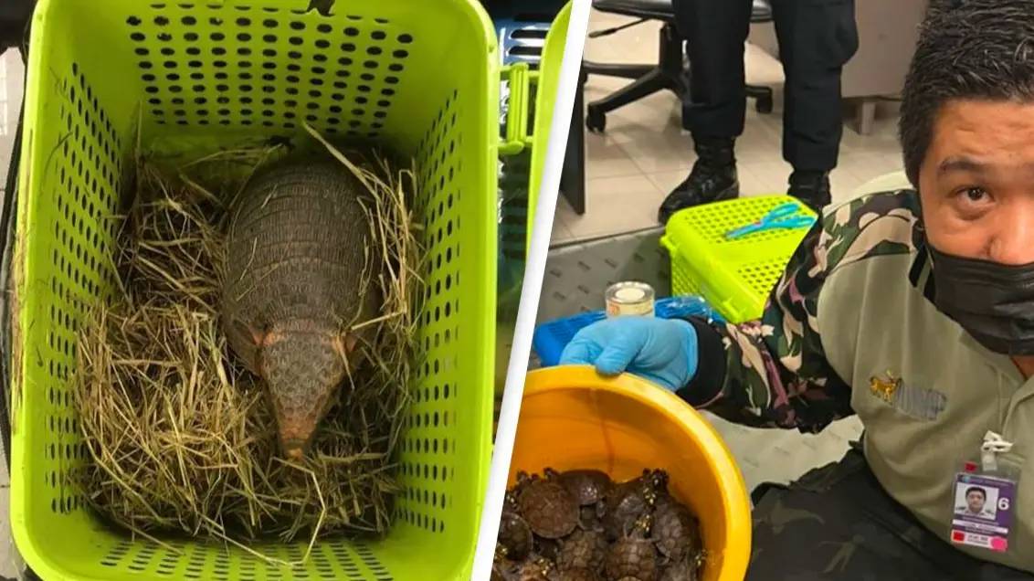 Two Women Arrested After Trying To Sneak Over 100 Live Animals On To Plane