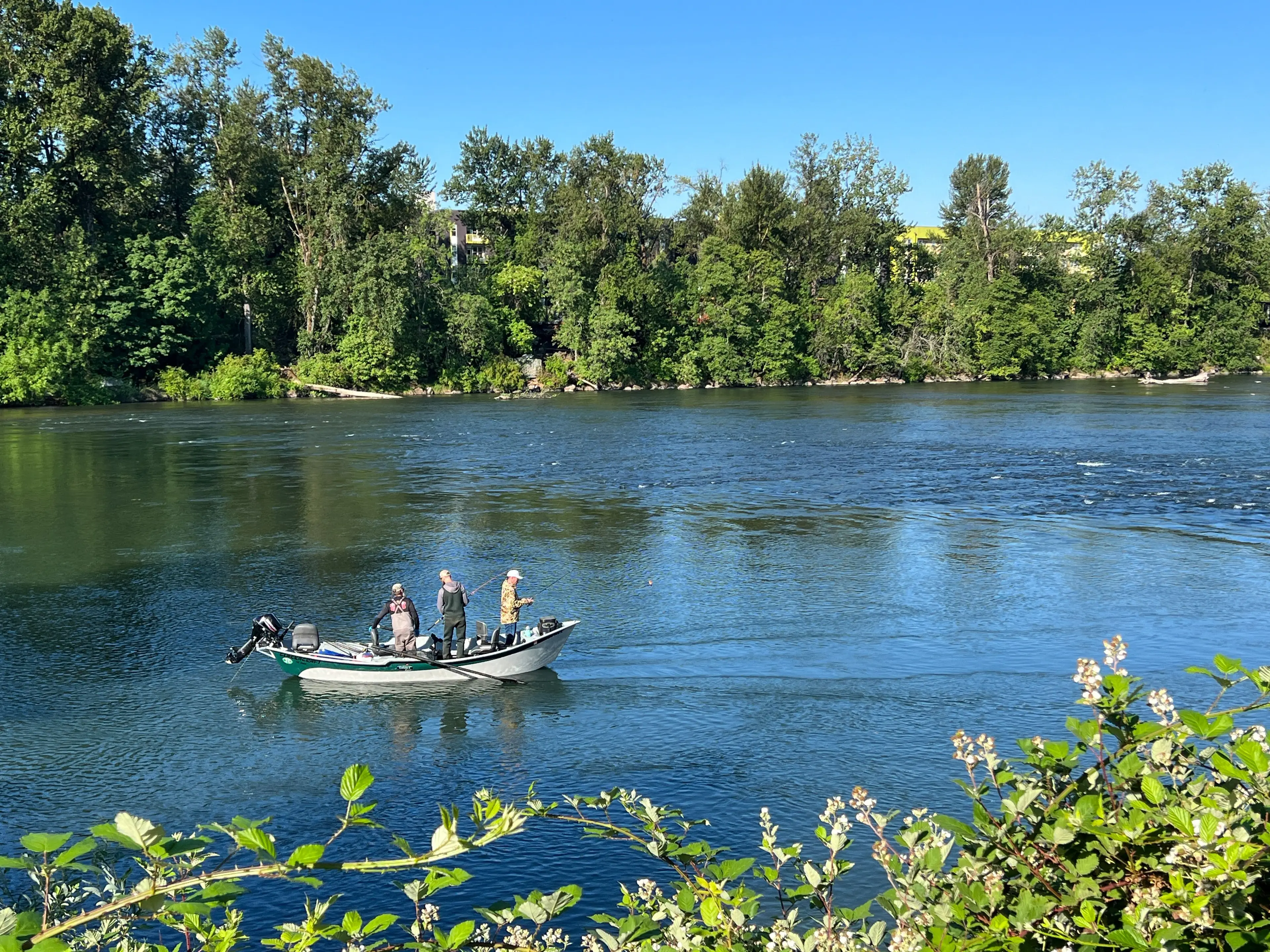 The TV chef had been tubing on the Willamette River in Oregon. (UCG / Contributor)