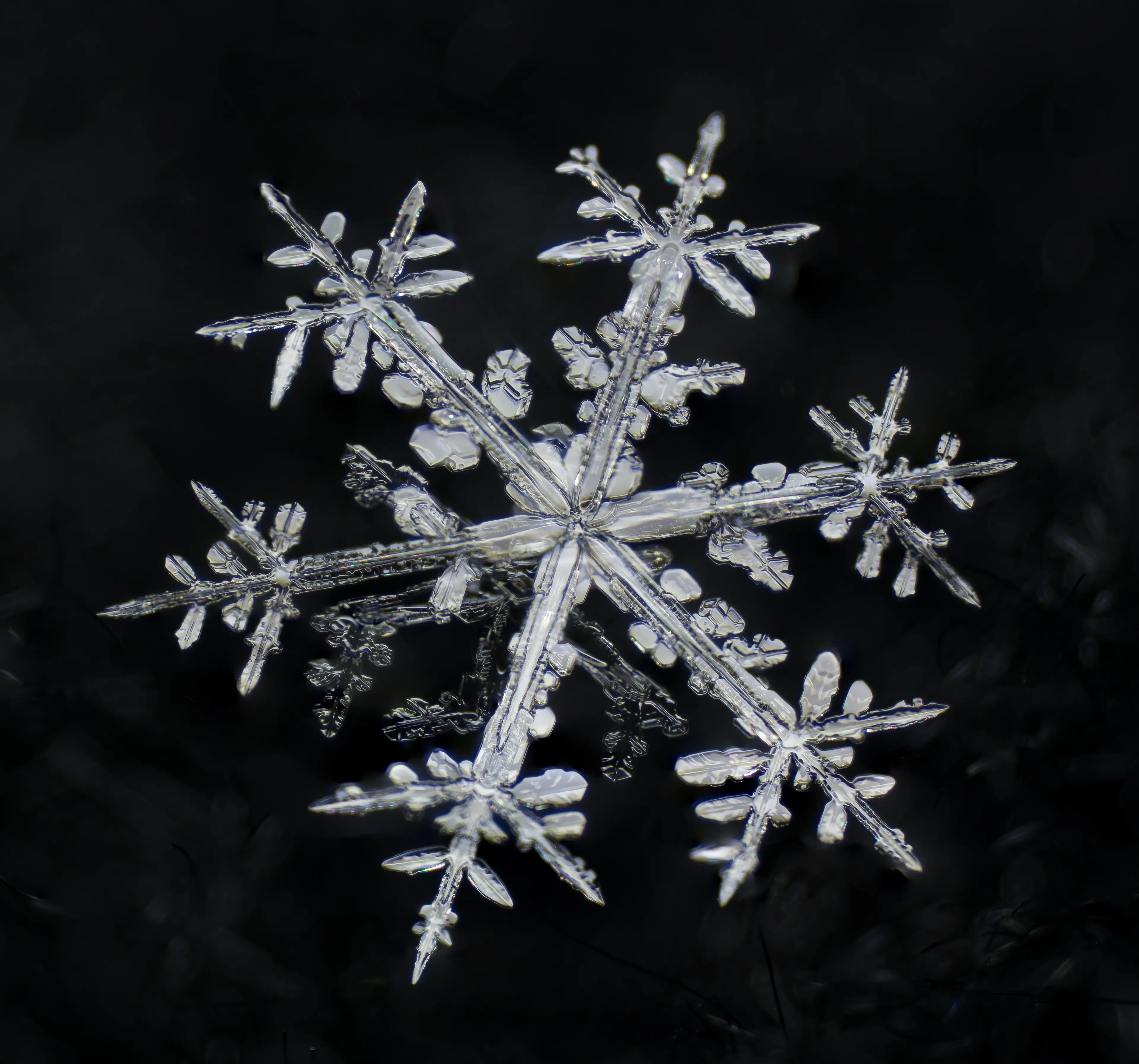 The actual proportions of the biggest snowflake are quite impressive.