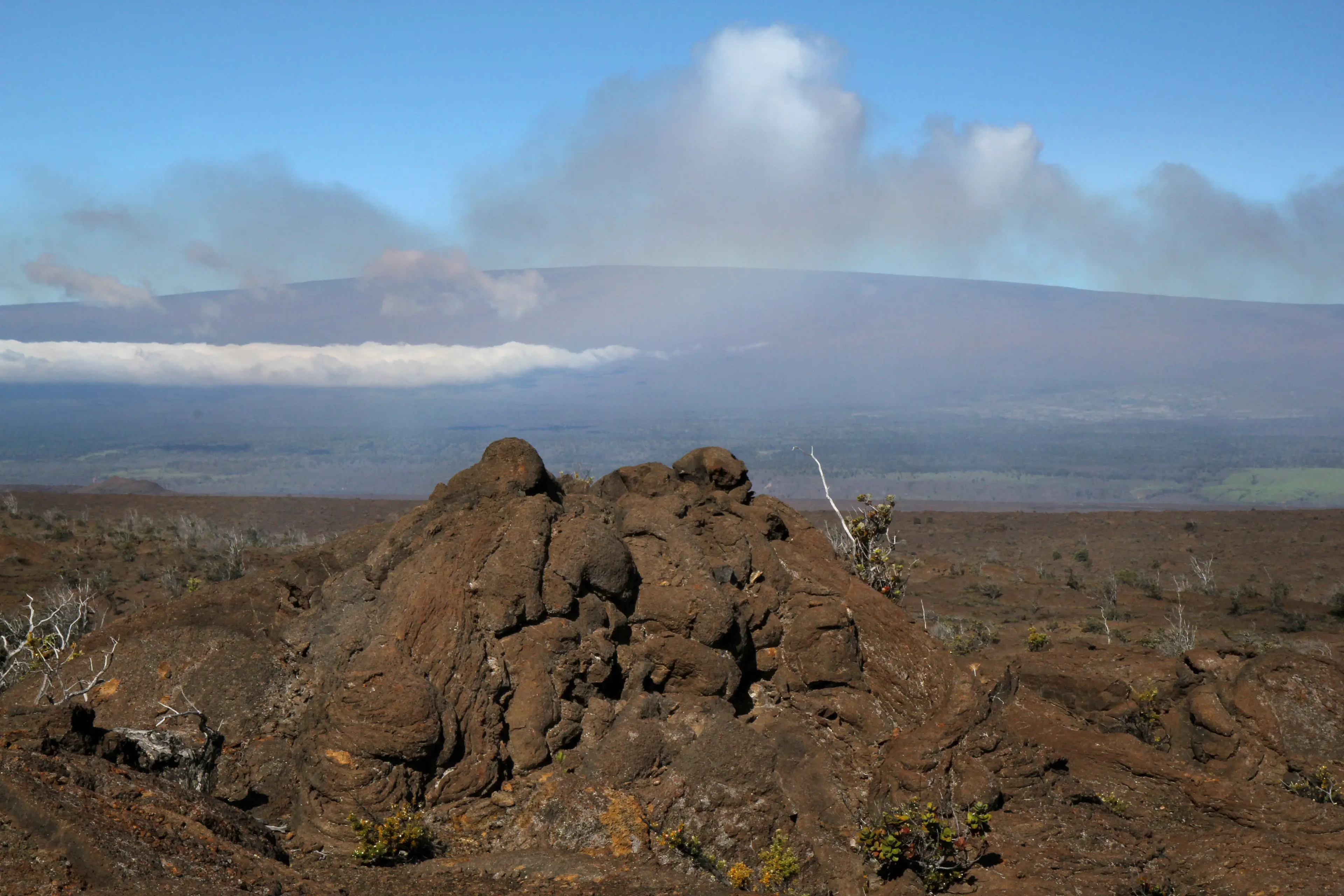 An eruption at Mauna Loa is not believed to be imminent.