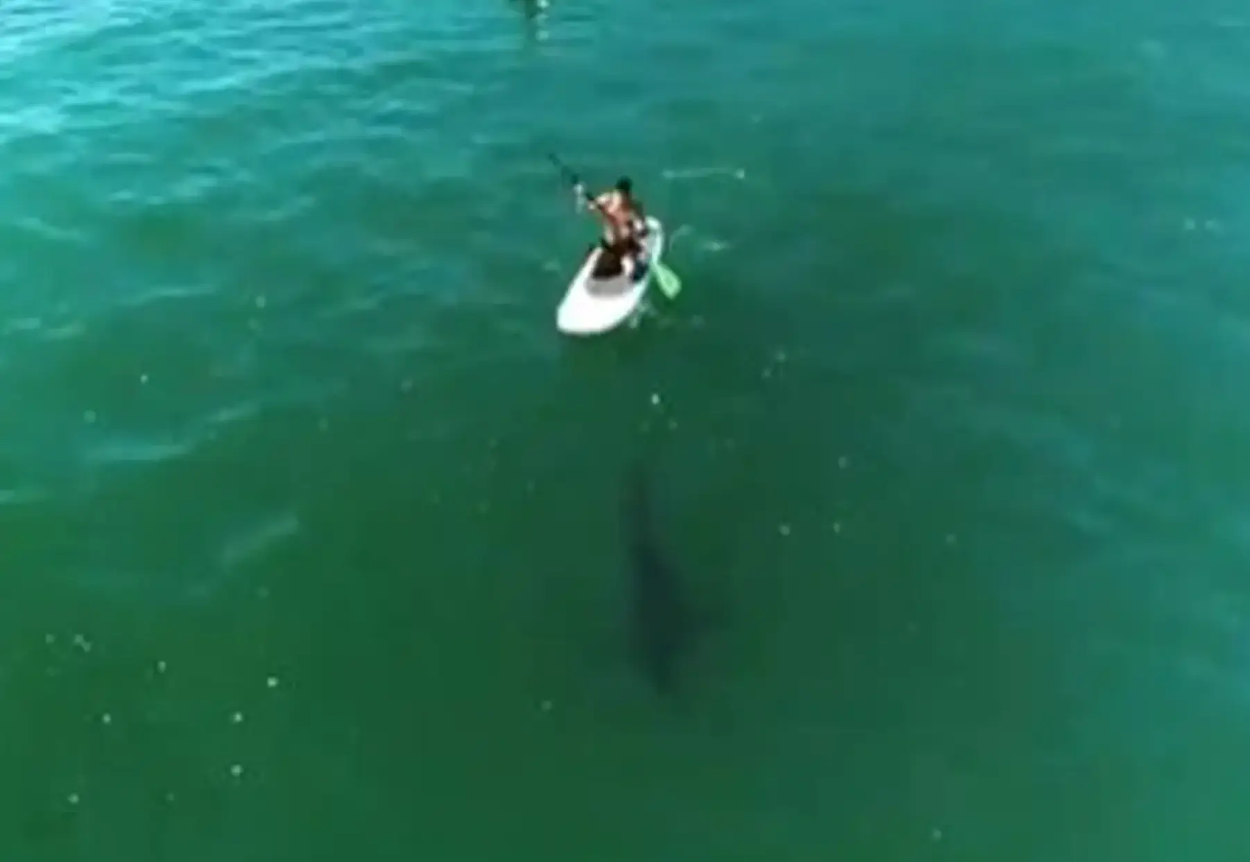 Talk about a close call.