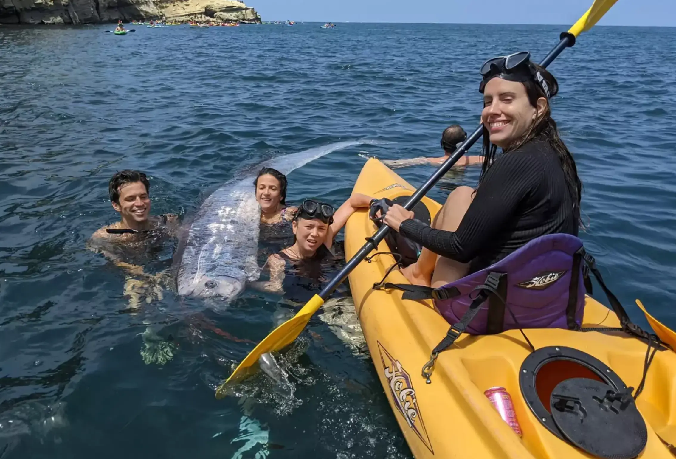 The oarfish is also known as the 'Doomsday' fish. (Scripps Institution of Oceanography/Facebook)