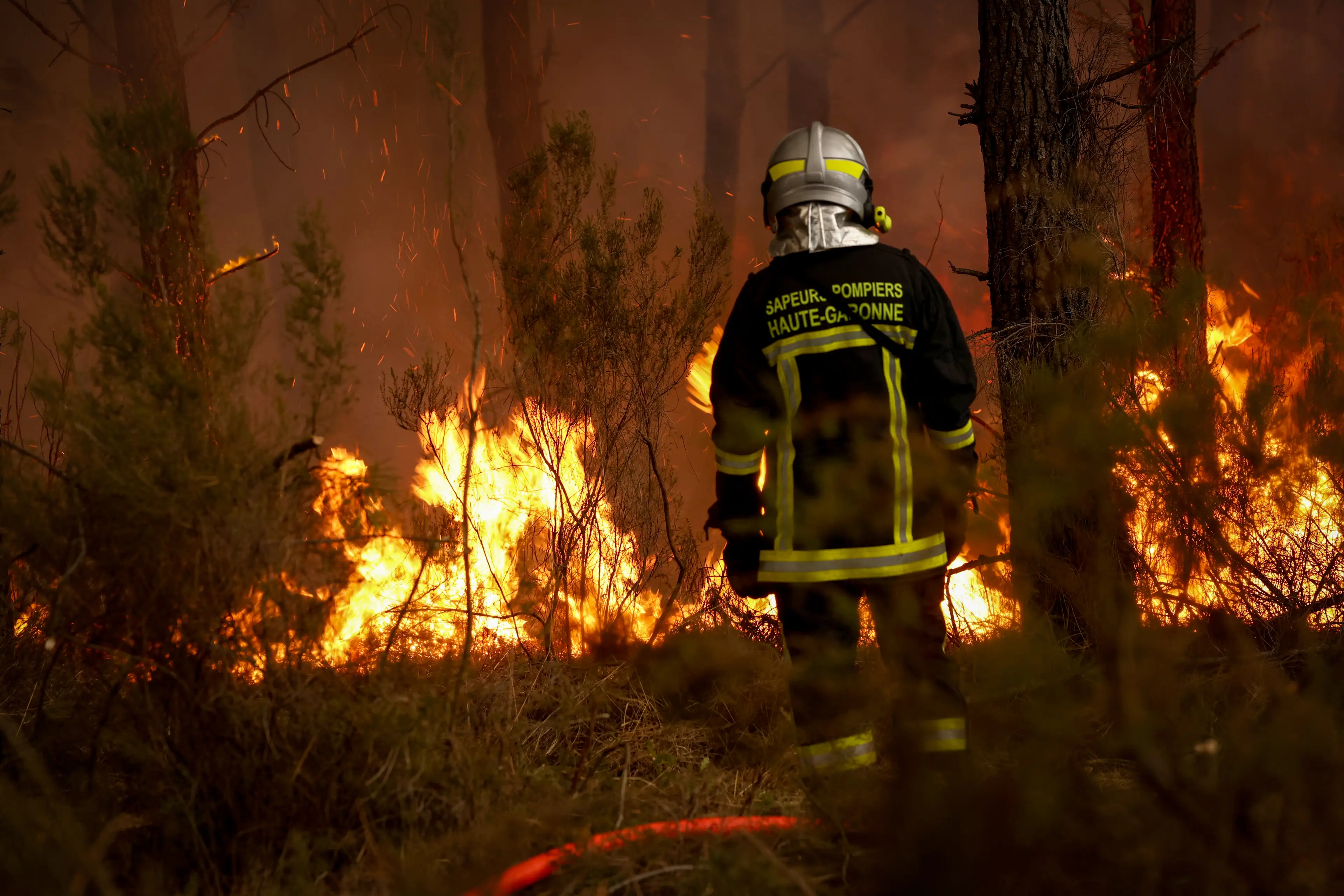 Multiple wildfires have been tearing through the French countryside after an unusually hot and dry Summer (ROMAIN PERROCHEAU / AFP via Getty Images)