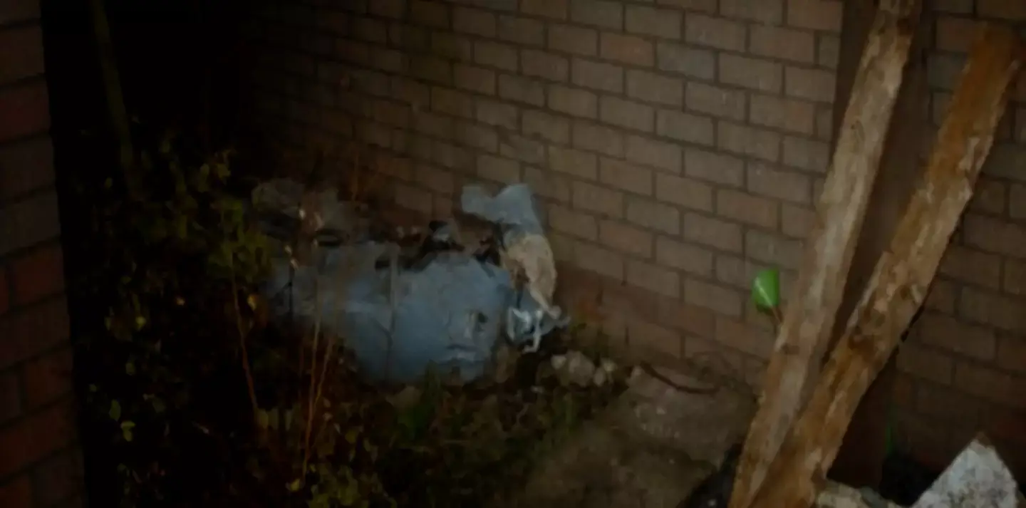 It was no plastic body. (Juliet Eden)