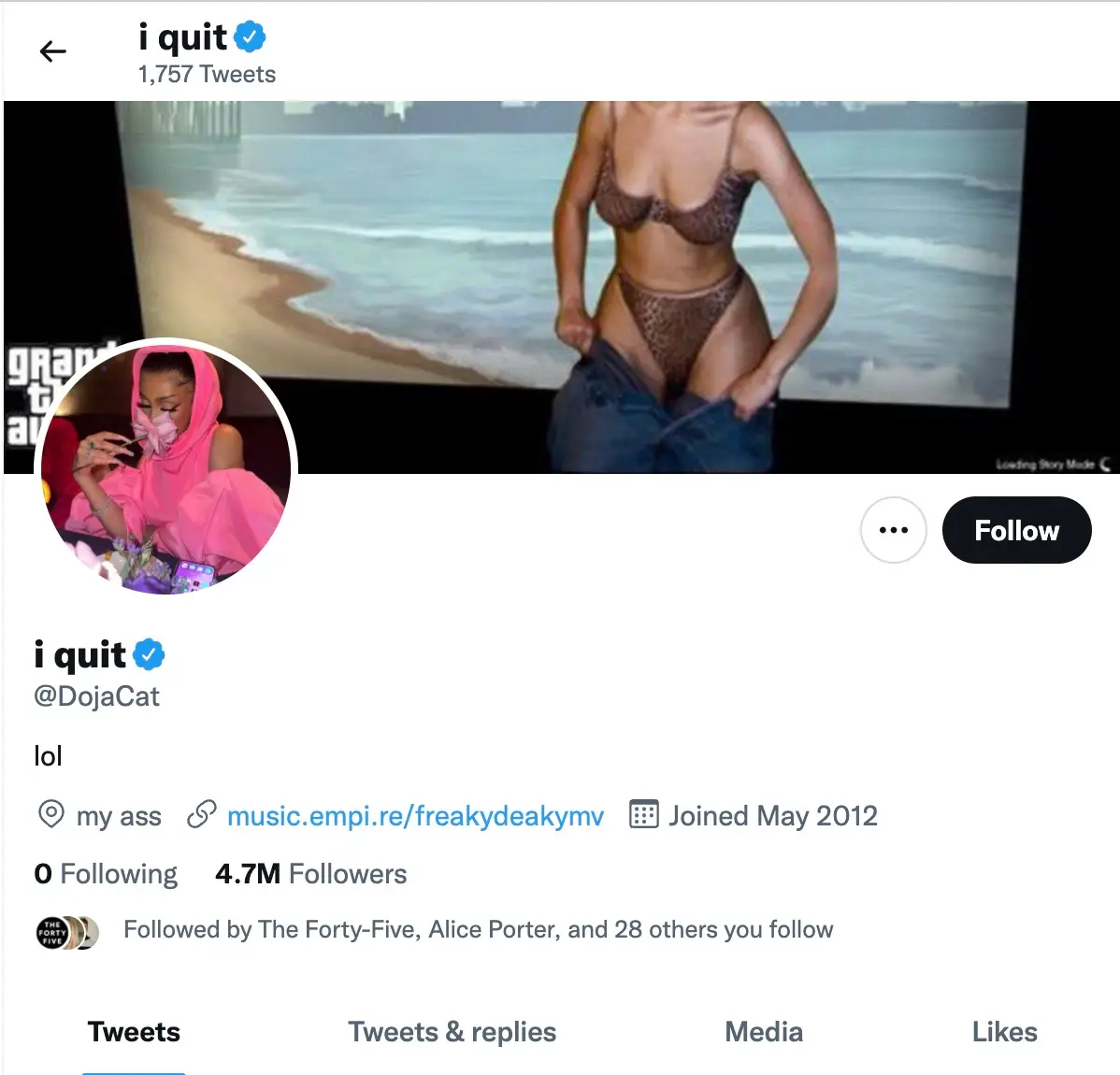 However, after replying to more tweets from like-minded fans, Doja Cat changed her name on Twitter to: “I quit" (Twitter Doja Cat)