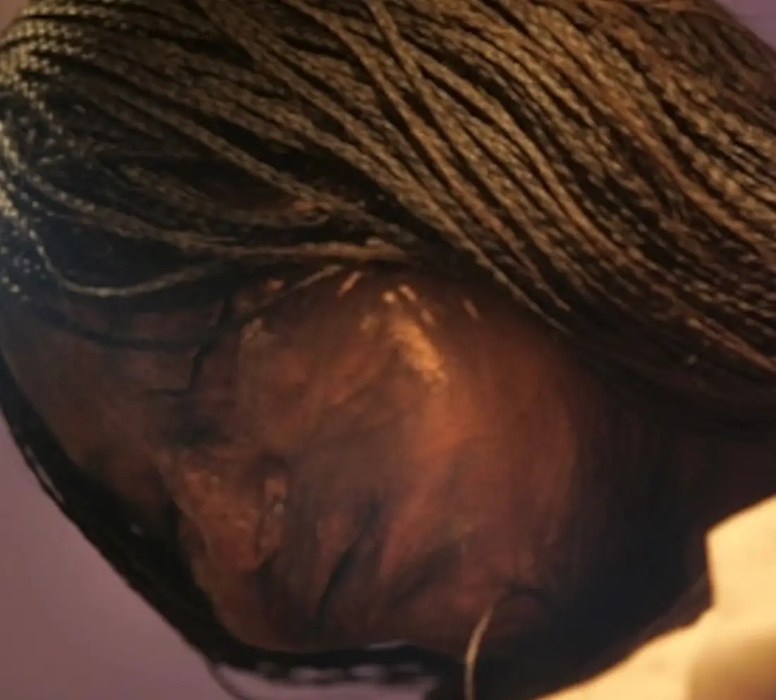 One of the archaeologists described the find as the 'highlight' of his life. (Natacha Pisarenko/AP via National Geographic)