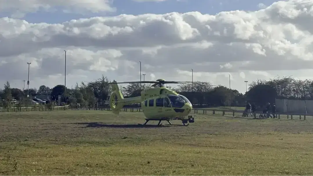 South Yorkshire Police received reports of a man entering a tiger enclosure at Yorkshire Wildlife Park at 1.35pm on Saturday. (X/ama14x)