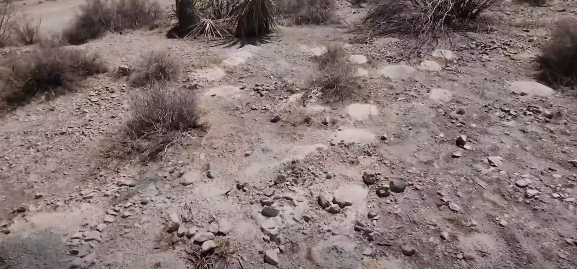 The Bureau of Land Management is working with the Las Vegas Metropolitan Police Department on the investigation (8 News Now — Las Vegas)
