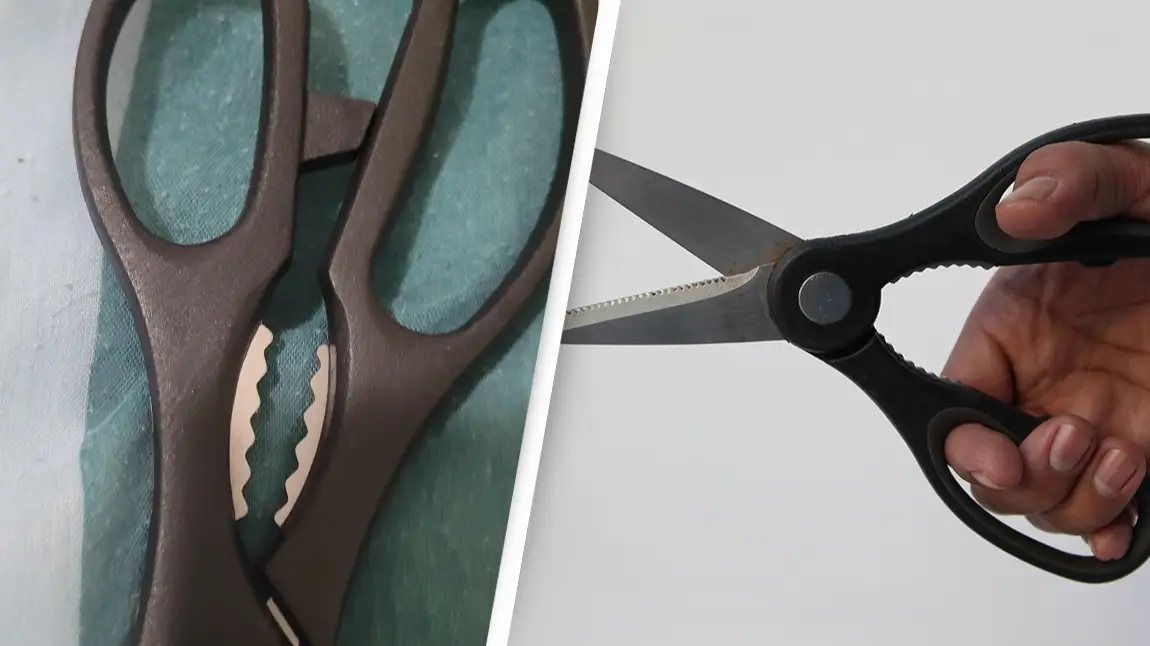 People are just discovering what the middle part on a pair of scissors is for