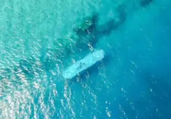 The submarine can carry 44 passengers (Sindbad Submarines)