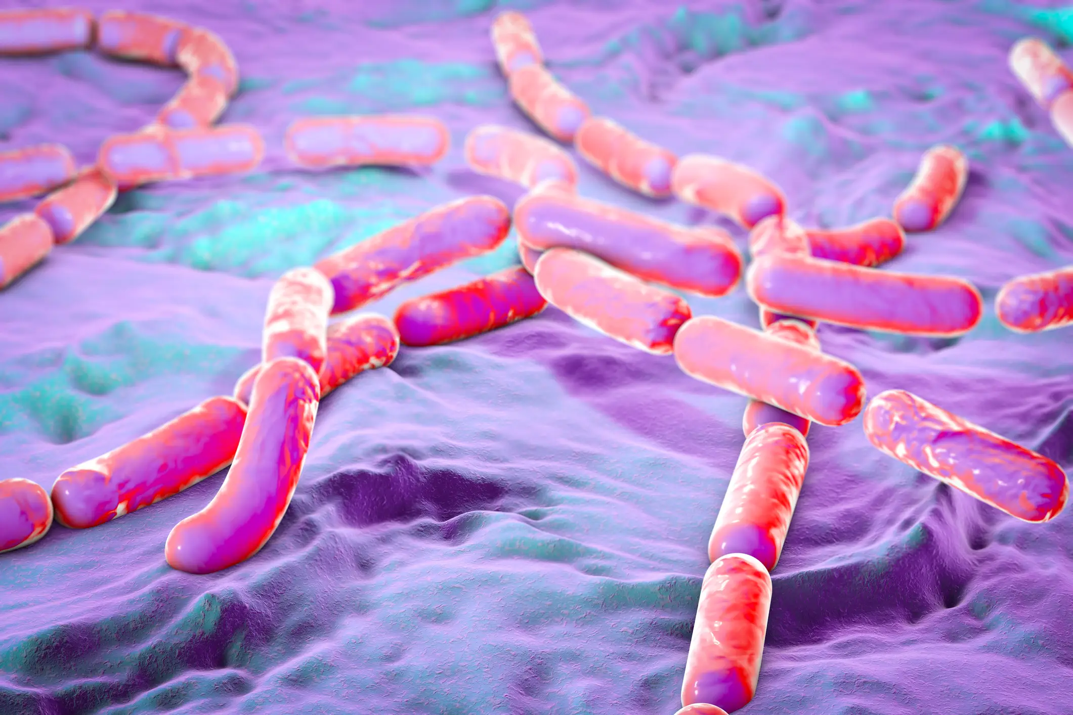 Bacillus cereus thrives on starchy foods like cooked rice (Getty stock image)