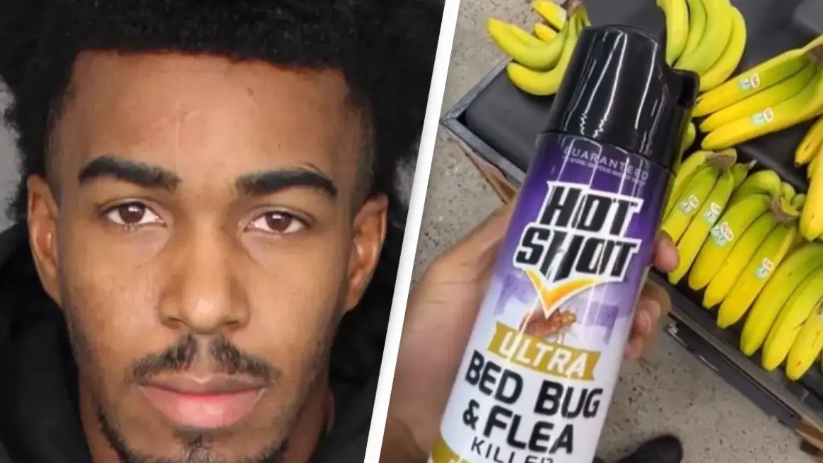 Mesa Police Department/TikTok/WolfieKahletti