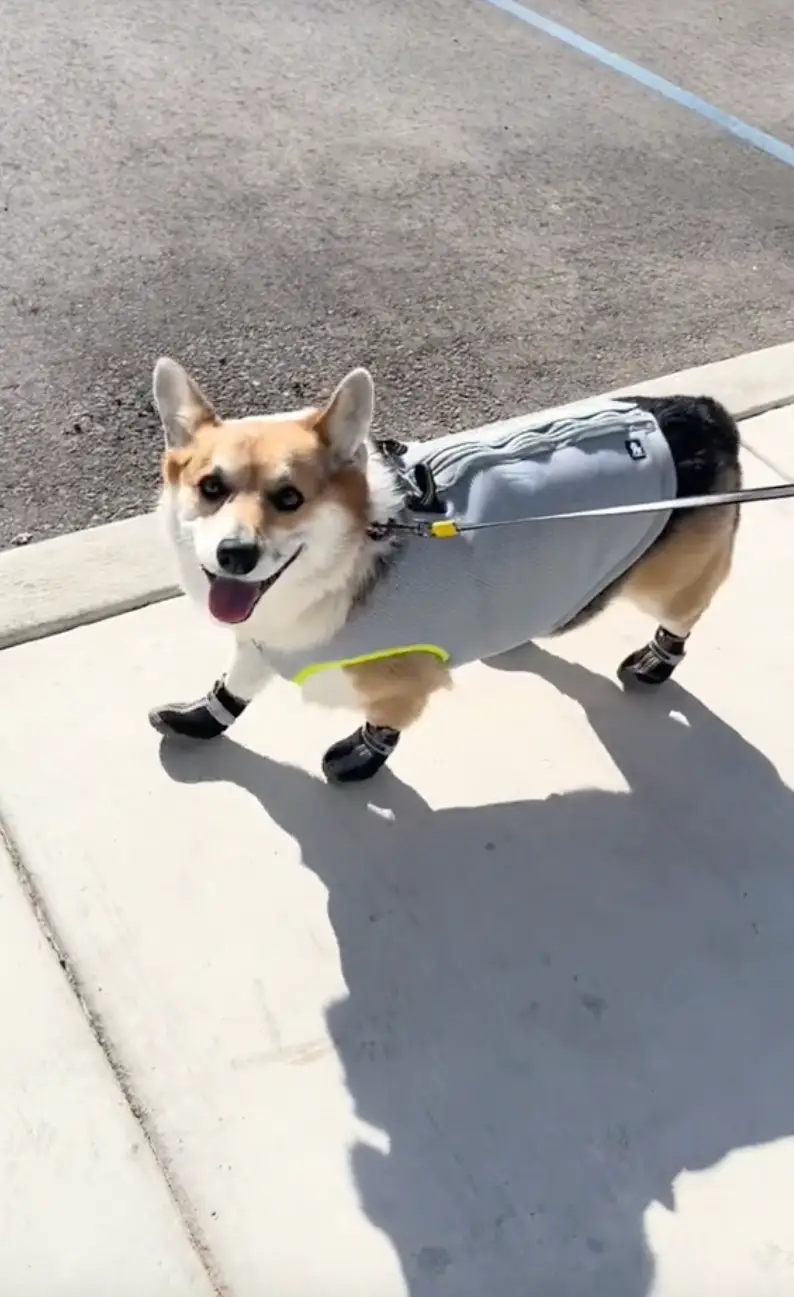 TikTok/@otisthesploot