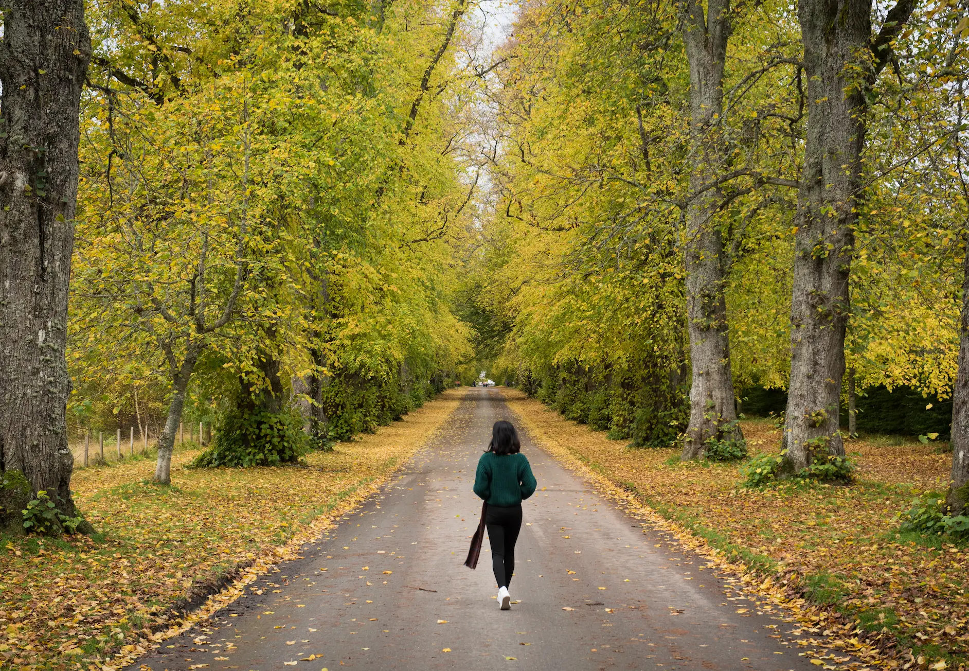 Going for a walk can get the cogs working better too (Getty Stock Images) 