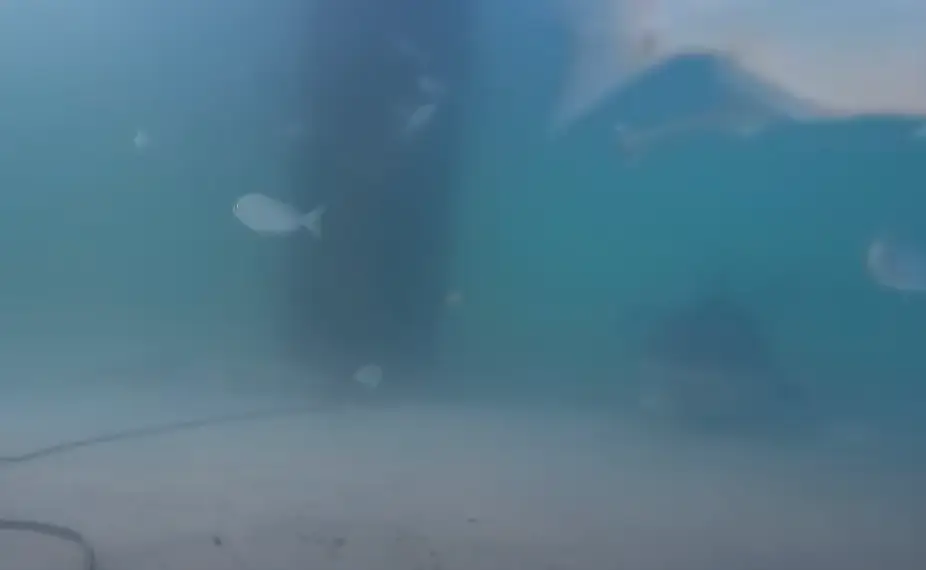 Can you see it yet? (YouTube/ AnglerUp with Brant)