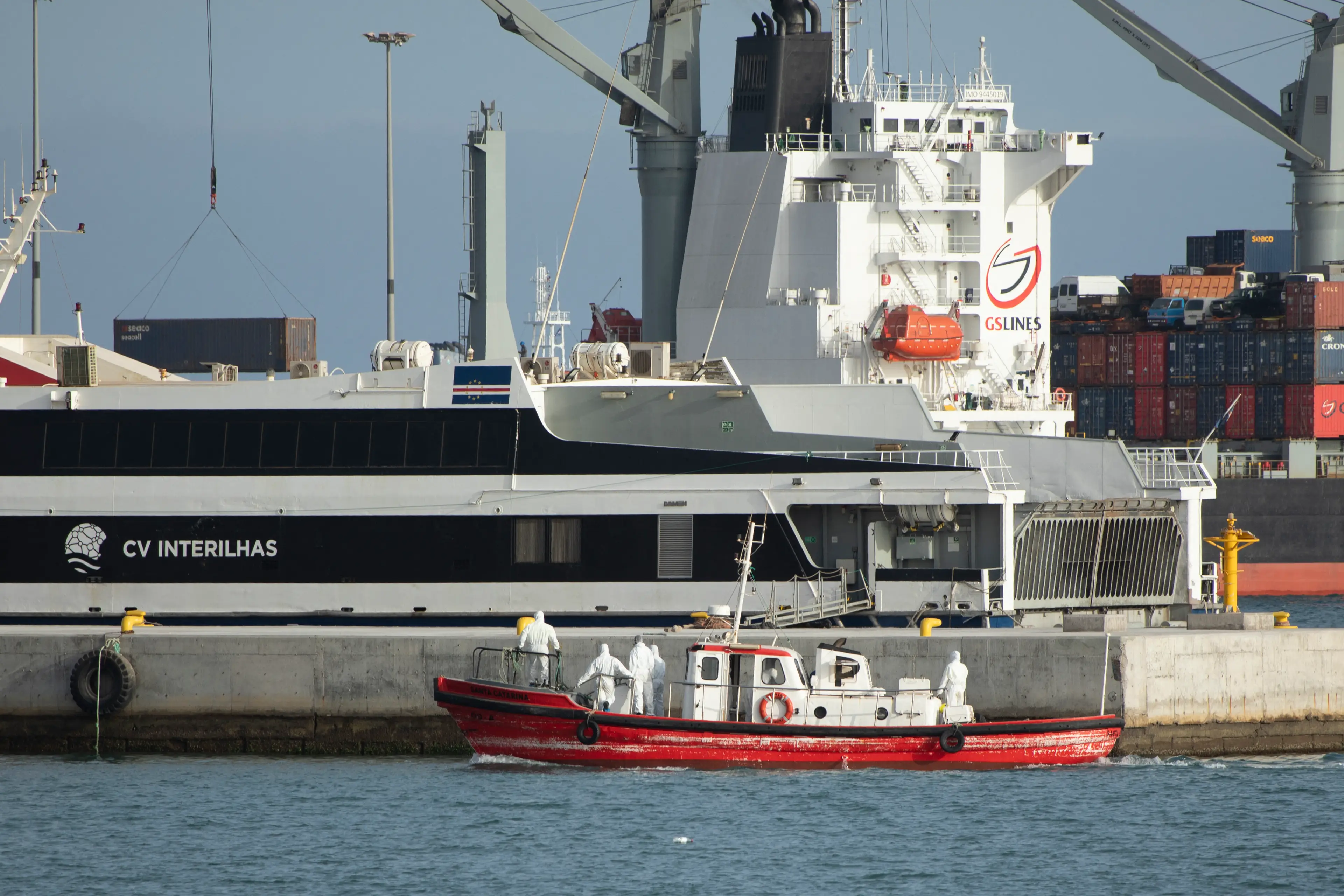 There has been a suspected hantavirus outbreak on a Dutch cruise ship (AFP via Getty Images)