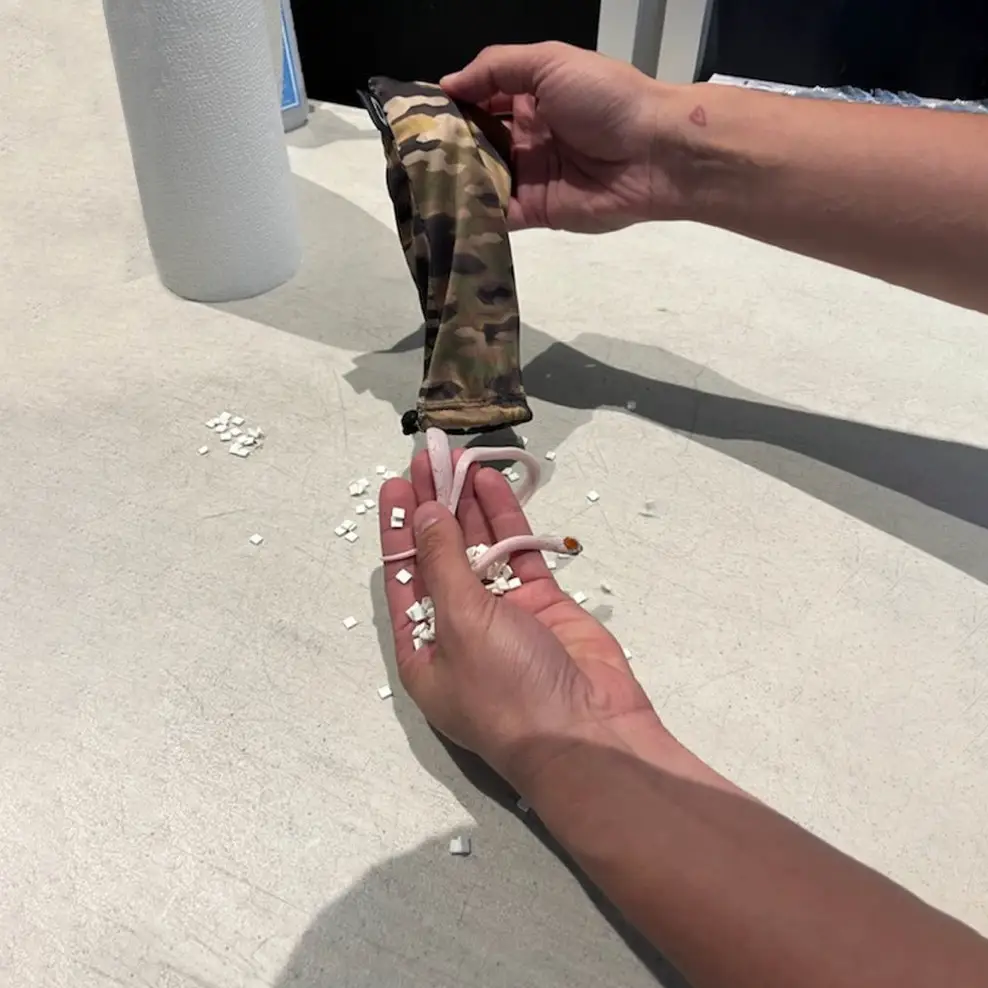 Yep, those are snakes. (Jam Press)