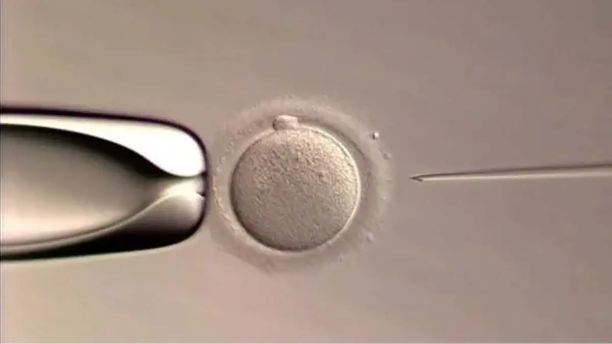 Conceivable Life Sciences