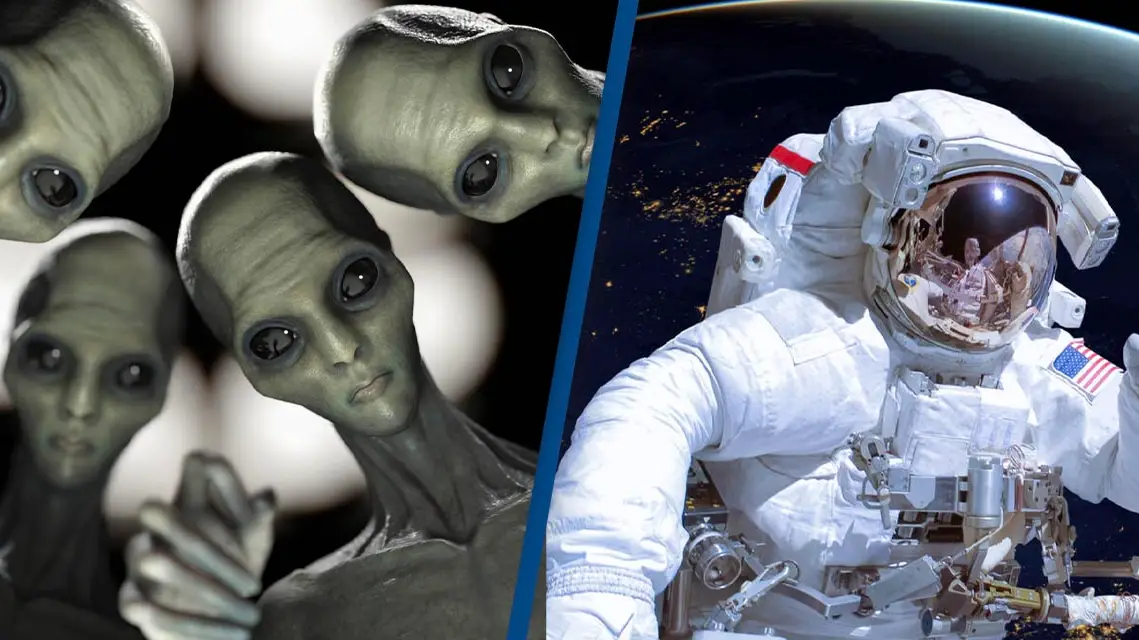 Science Picture Co / Alamy. Delphotos. Alamy.