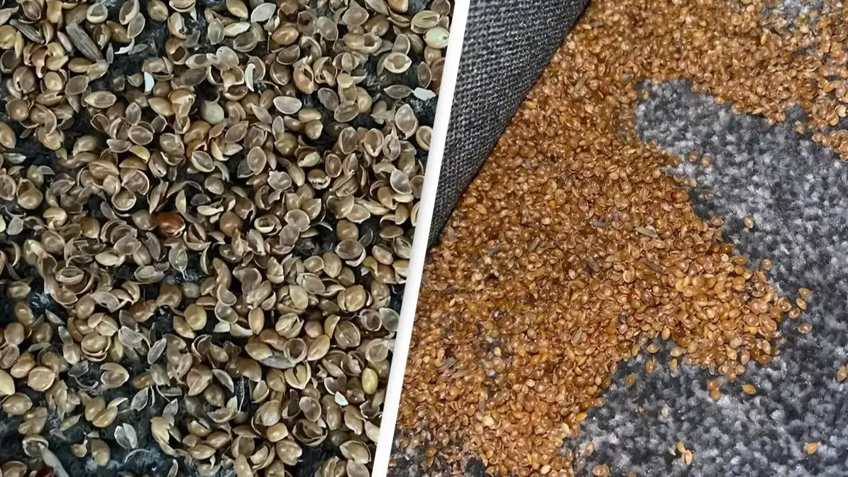 Facebook/Family Lowdown Tips & Ideas