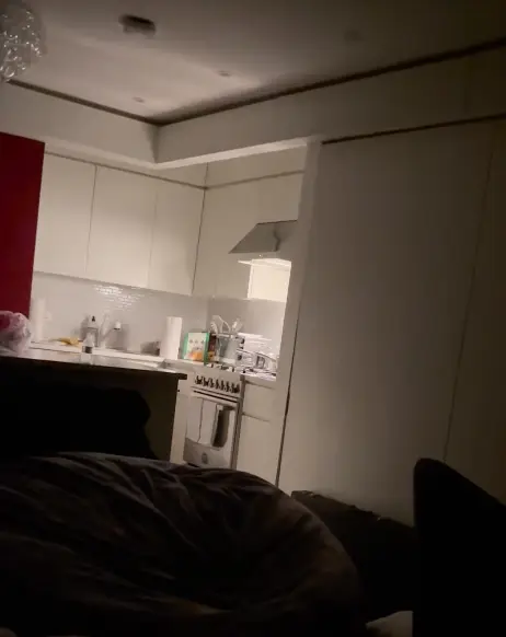 What do you think? Ghost or faulty wire? (Reddit/ u/Diligent_Lion1306)