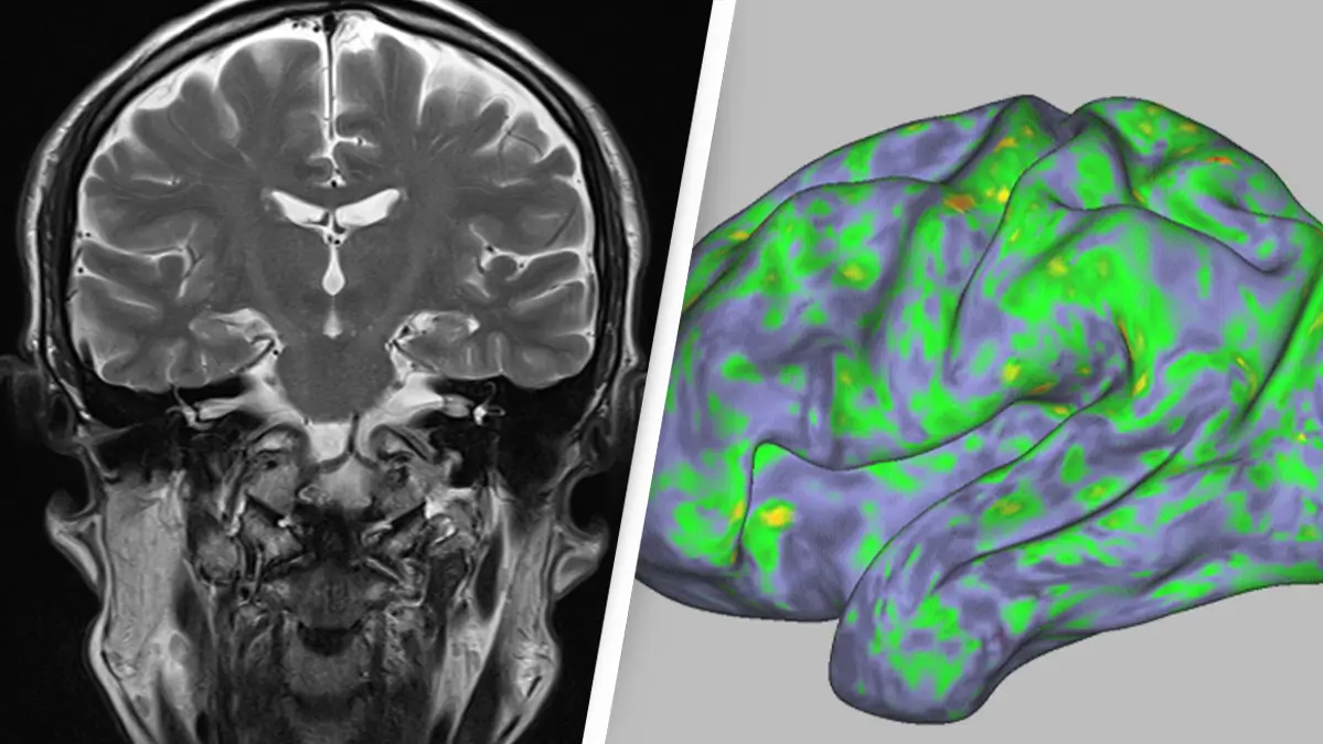 Getty Stock Photo/ Sara Moser/Washington University School of Medicine in St. Louis