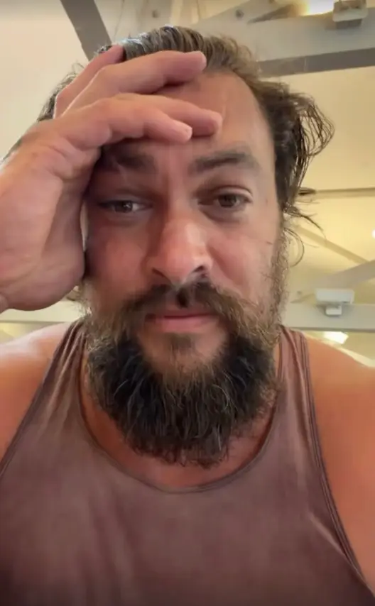 The actor shared an update on his Instagram Story (prideofgypsies/Instagram)