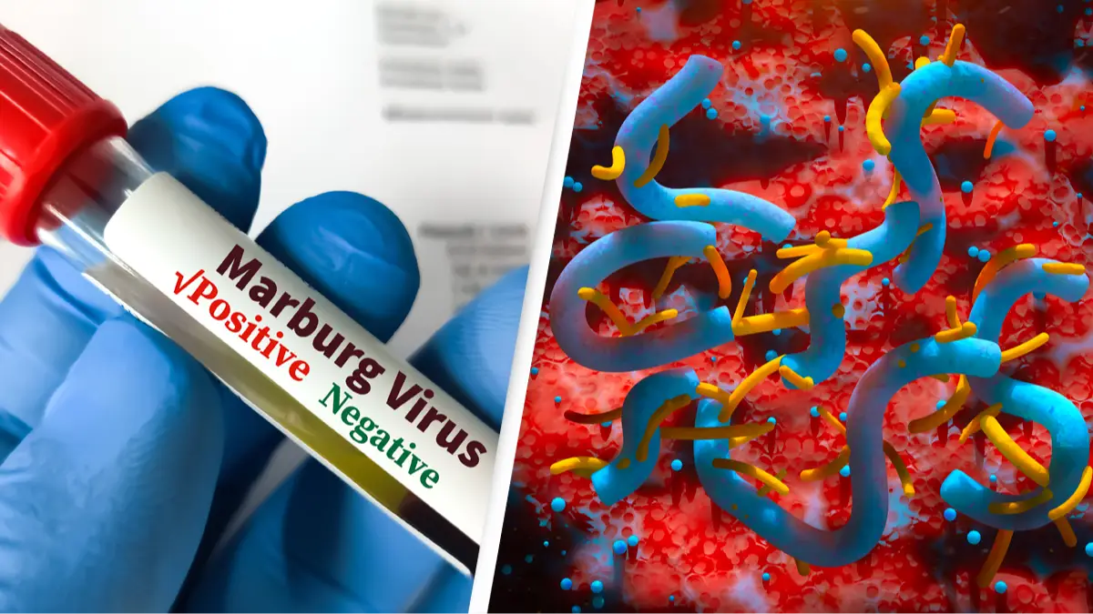 Getty Images/Md Ariful Islam/Getty Images/Uma Shankar sharma