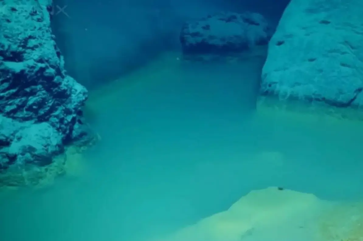 The brine pools are a rare find (OceanX)