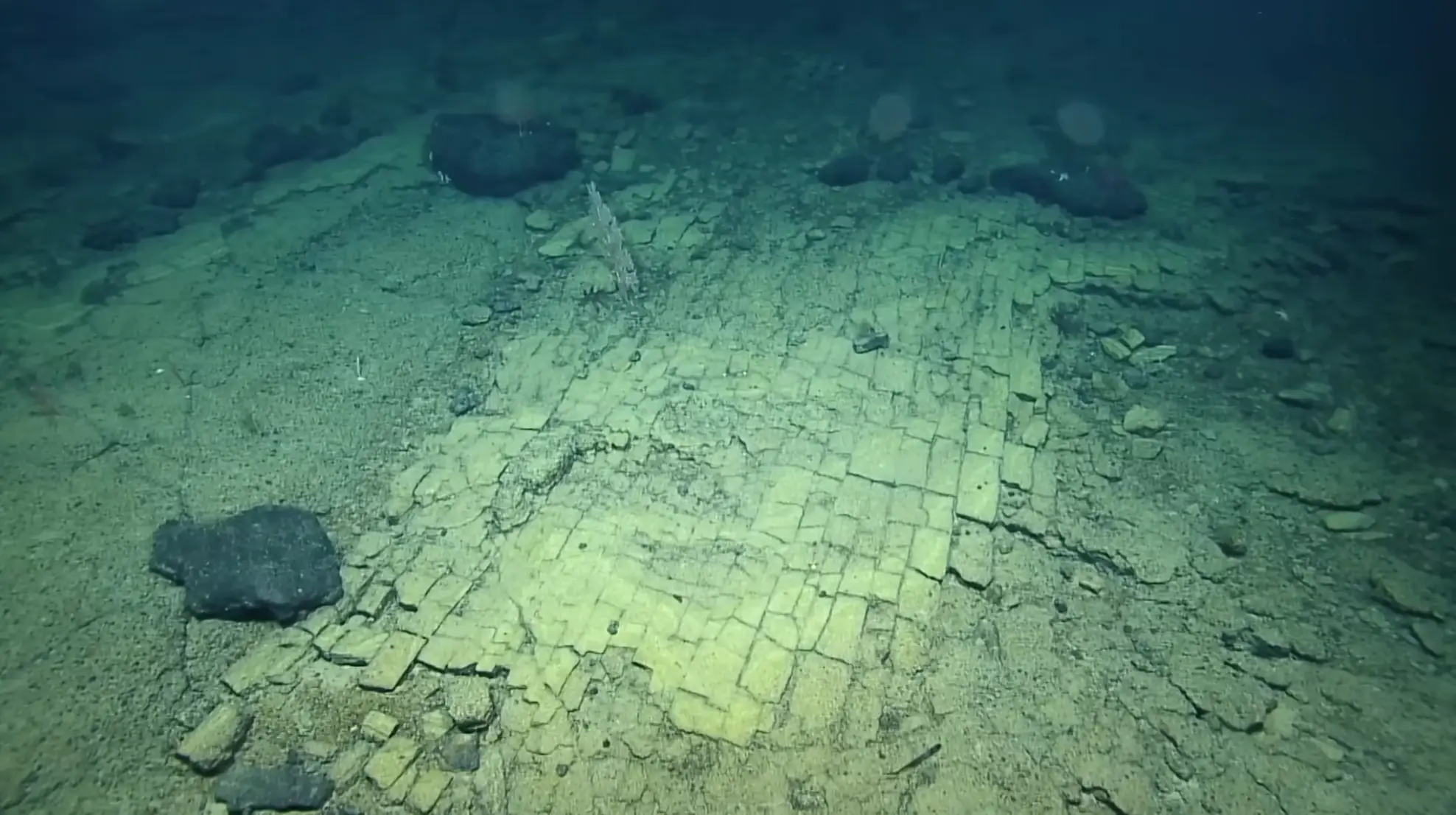 We're not in Kansas anymore.