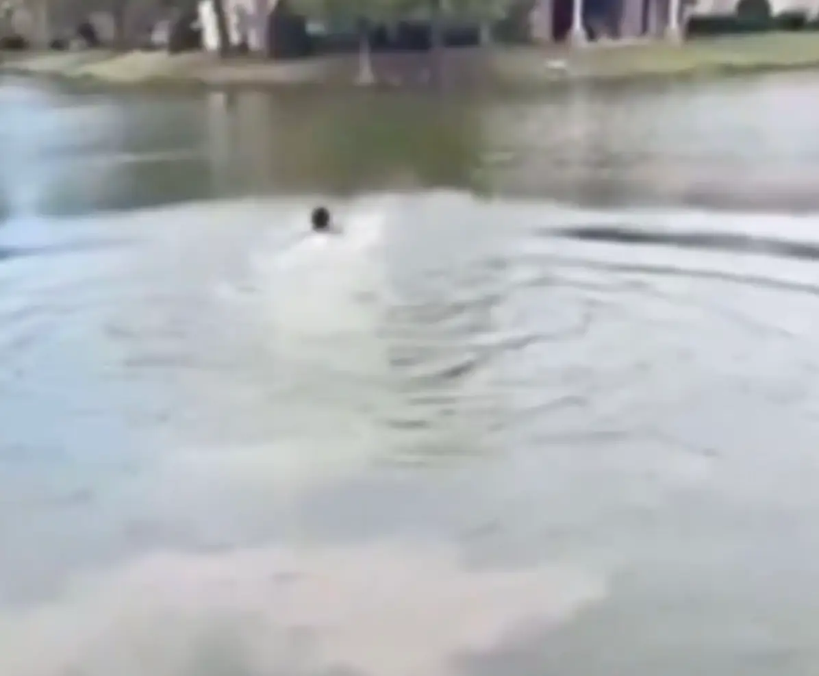 His final moments were caught on camera. (FOX13 Memphis/YouTube)