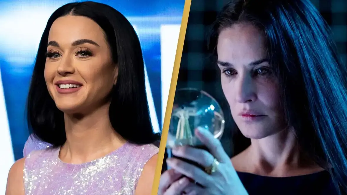 Sam Tabone/Getty Images / MUBI