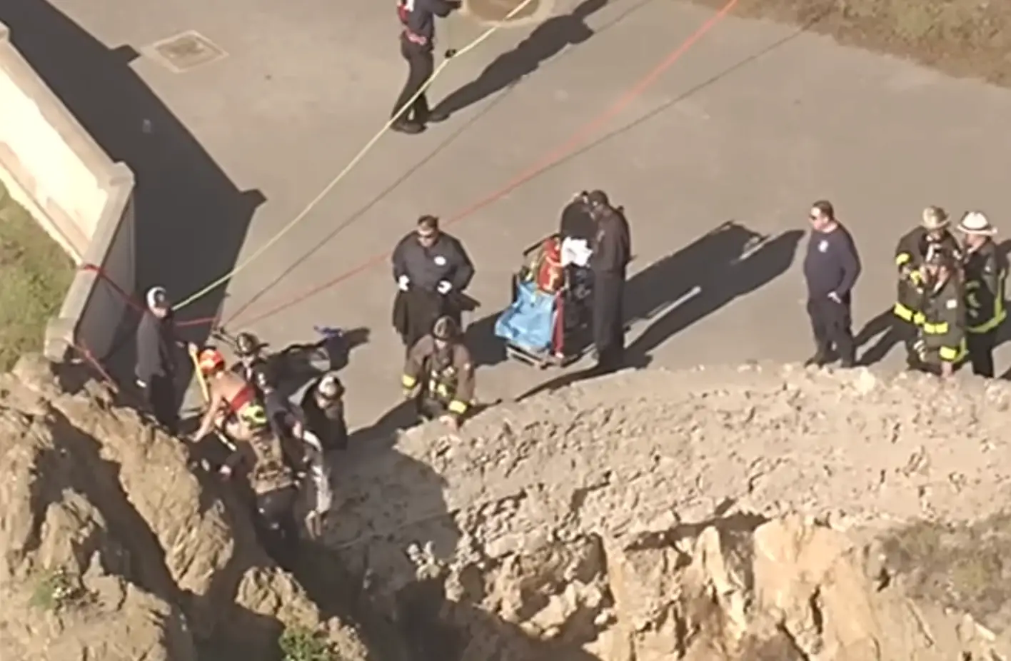 Luckily, she made it to safety (ABC7)