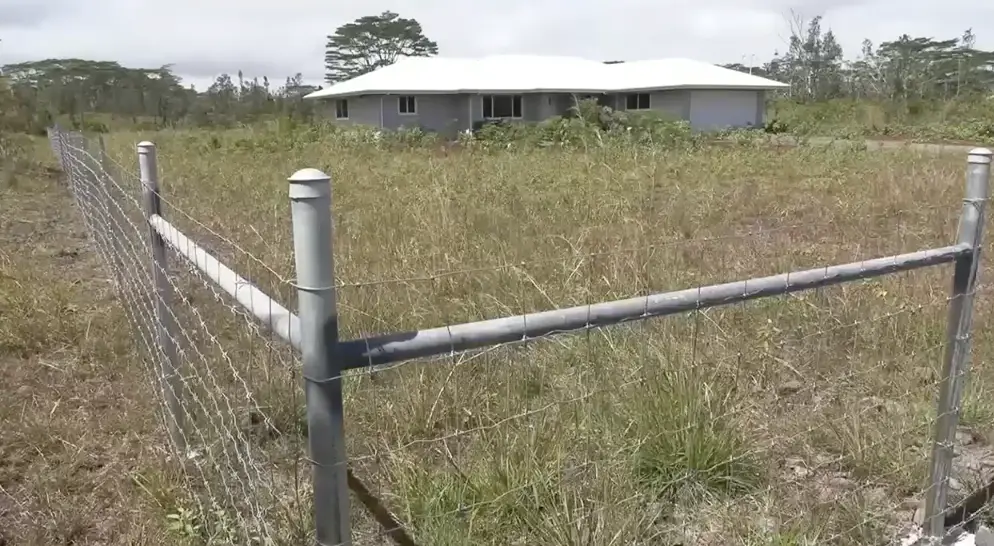 Anne has to erect fencing around the property.
