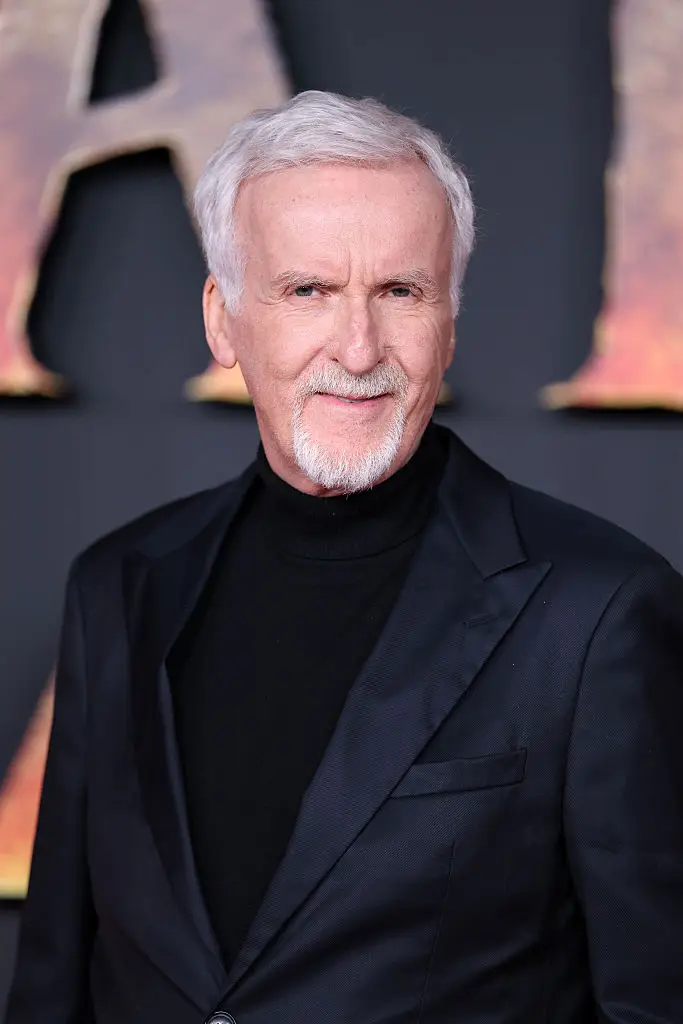 Cameron claimed the conversation was a little different (Pascal Le Segretain/Getty Images)