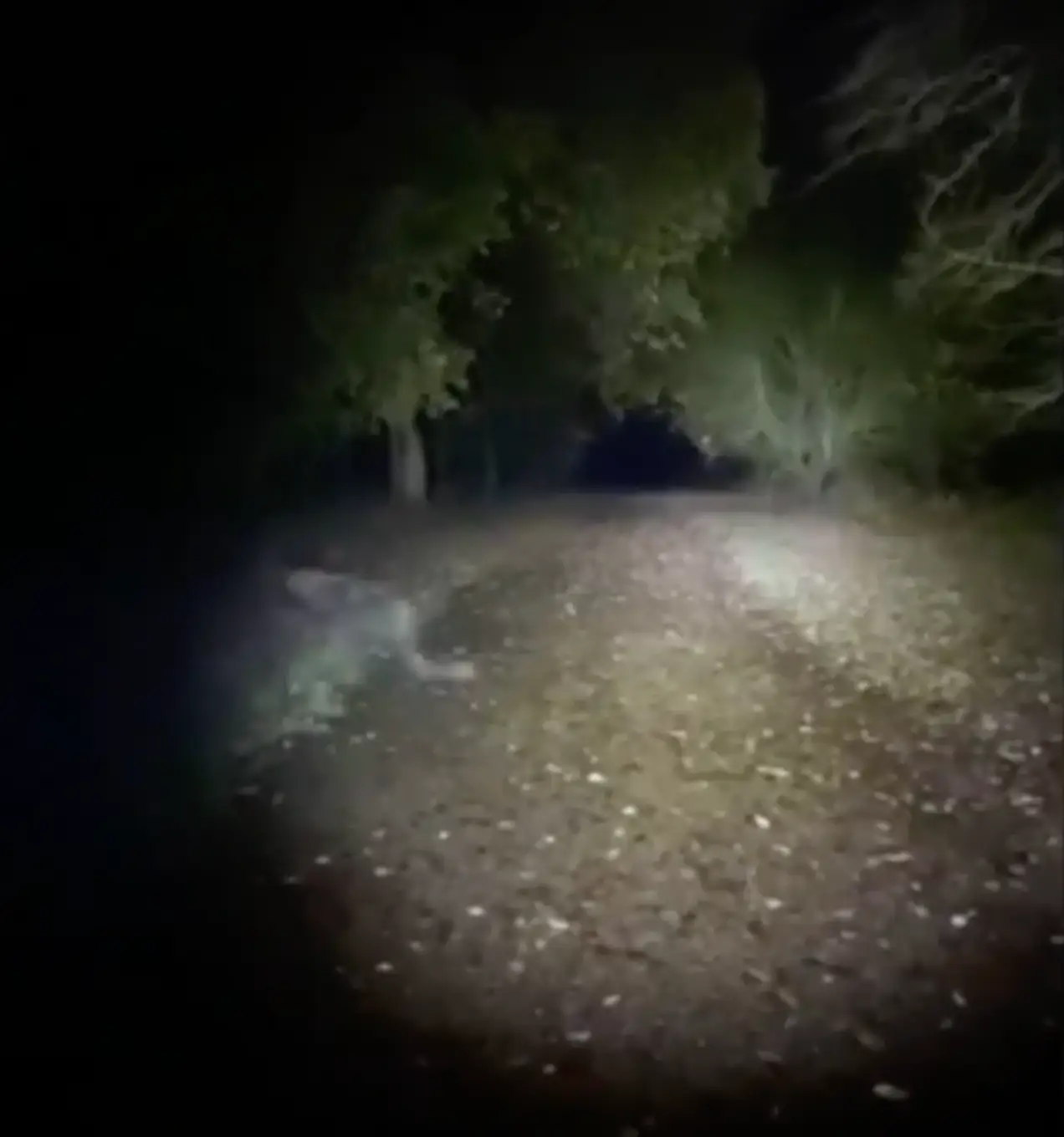 The eerie figure was caught on camera.