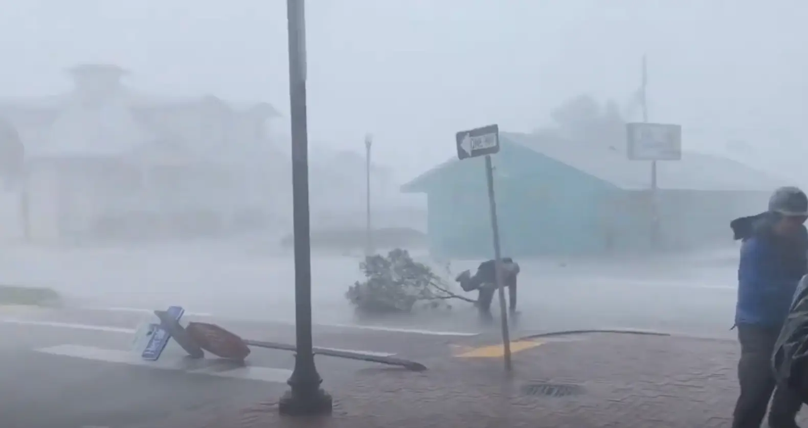 Cantore got taken out by the massive branch.