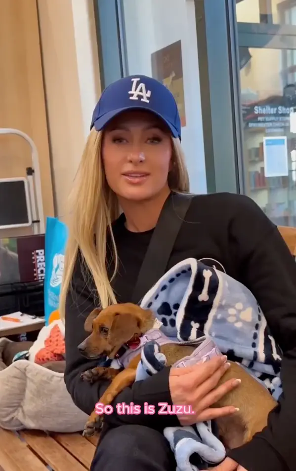 Hilton has fostered a dog amid her efforts to help (@ParisHilton/Twitter)