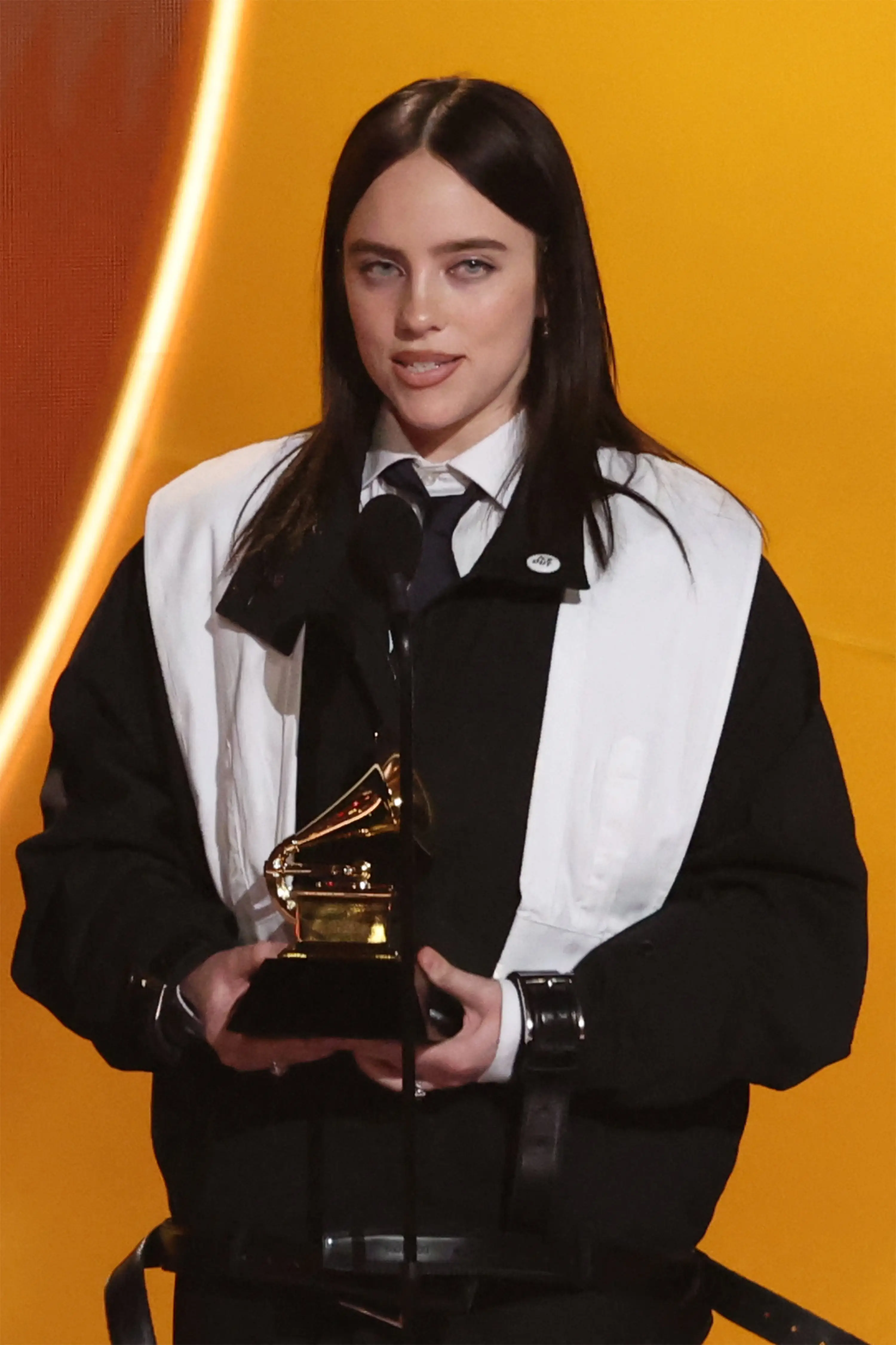 Billie Eilish slammed ICE in her Grammys speech (VALERIE MACON/AFP via Getty Images)