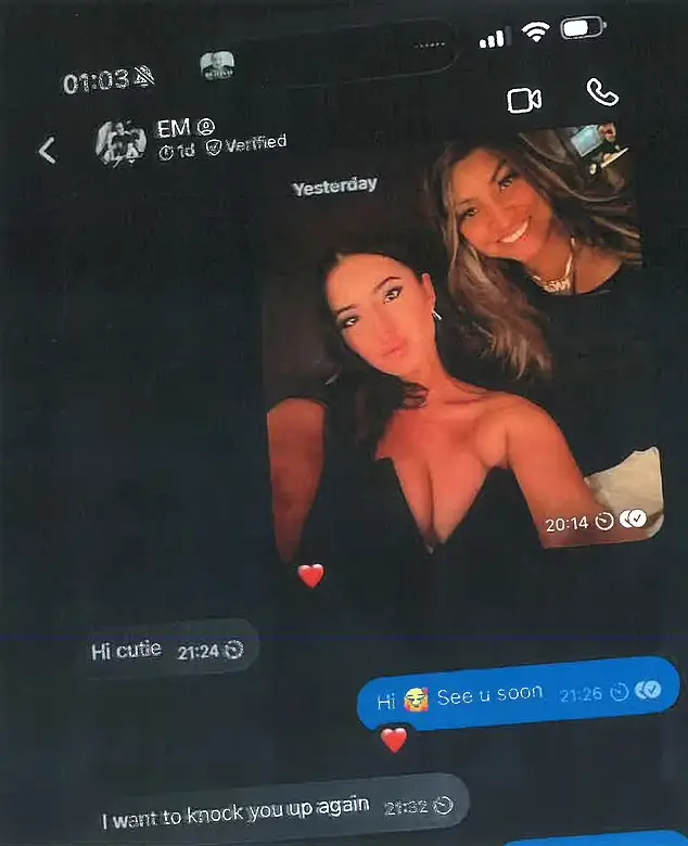 In this exchange, Musk is allegedly seen saying he wants to 'knock her up again' (New York Supreme Court)