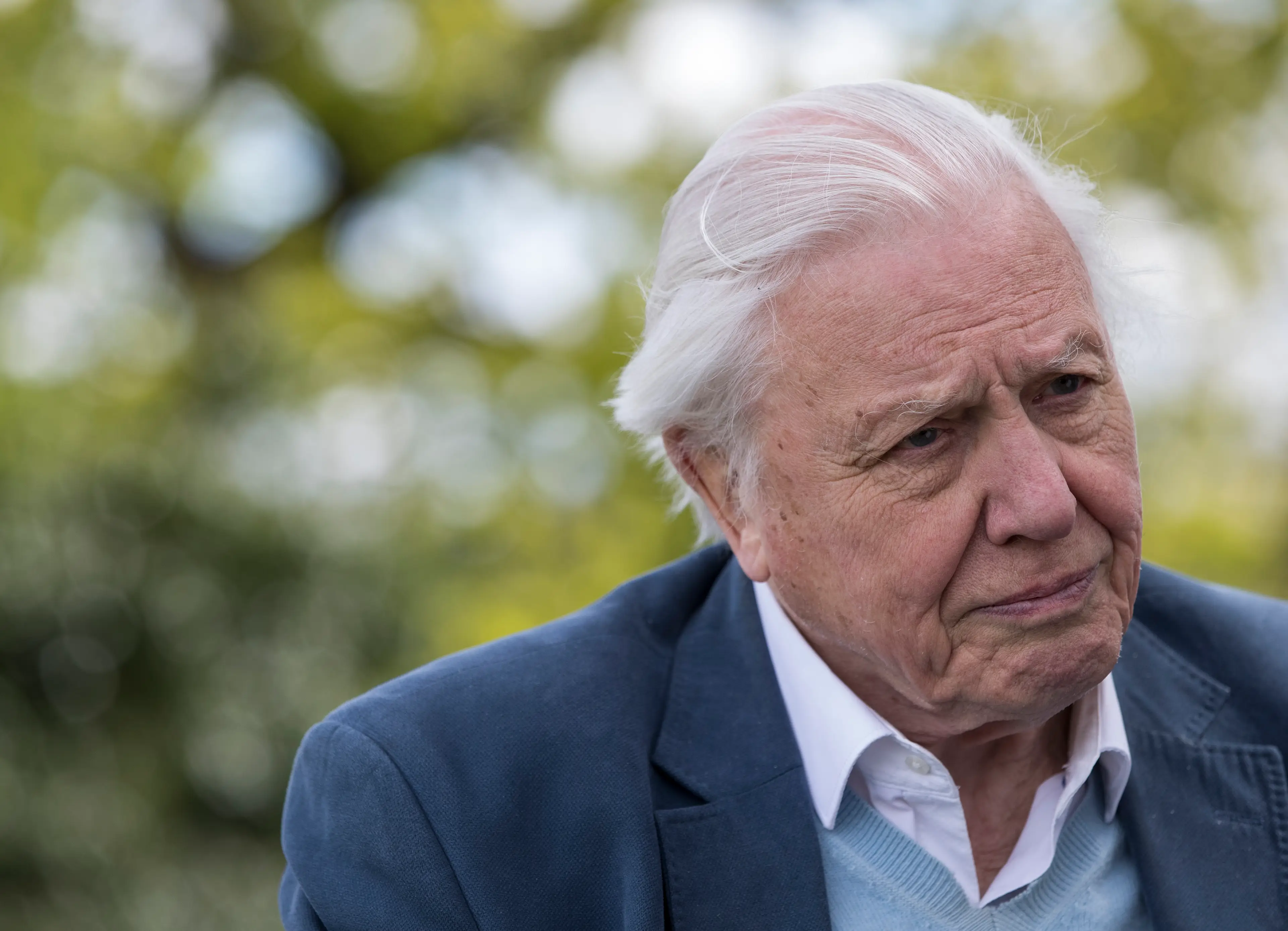 The chilling discovery was found in Sir David Attenborough's Richmond garden (Photo by John Phillips/Getty Images )