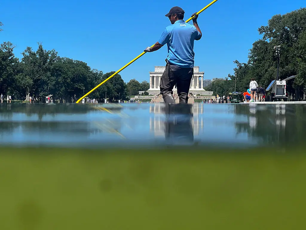 The pool went a bright shade of green from the algae (Chip Somodevilla/Getty Images)