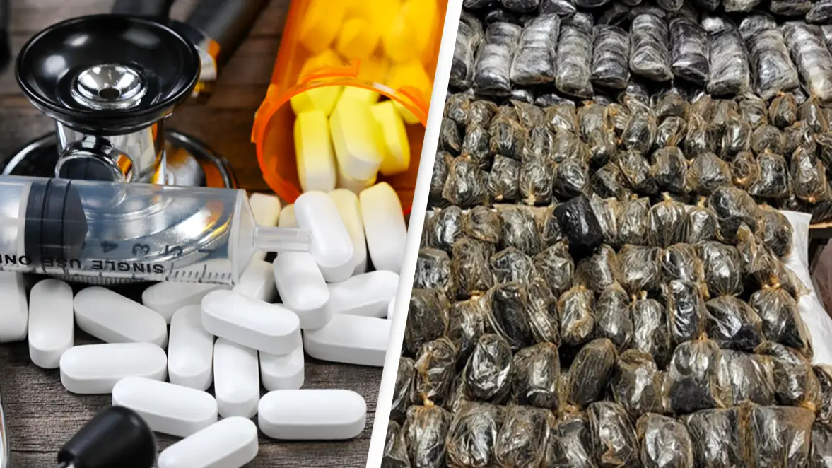 Police seize enough fentanyl to kill 42 million people