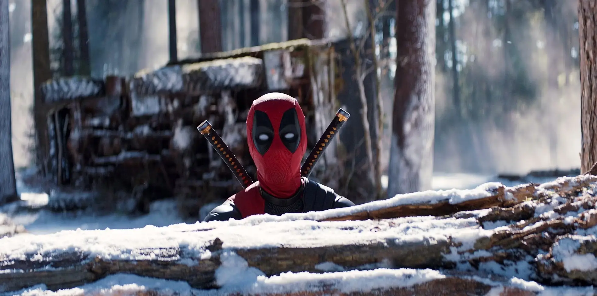 Fans have speculated whether Quicksilver could be saved from their untimely death.