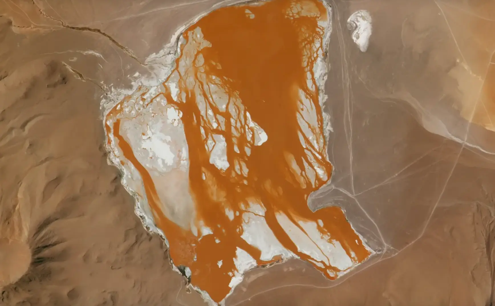 The Laguna Colorada in the Bolivian Andes.