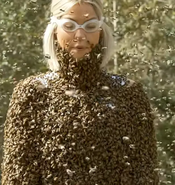 You probably wouldn't be thinking about sleep while covered in bees (Fox)