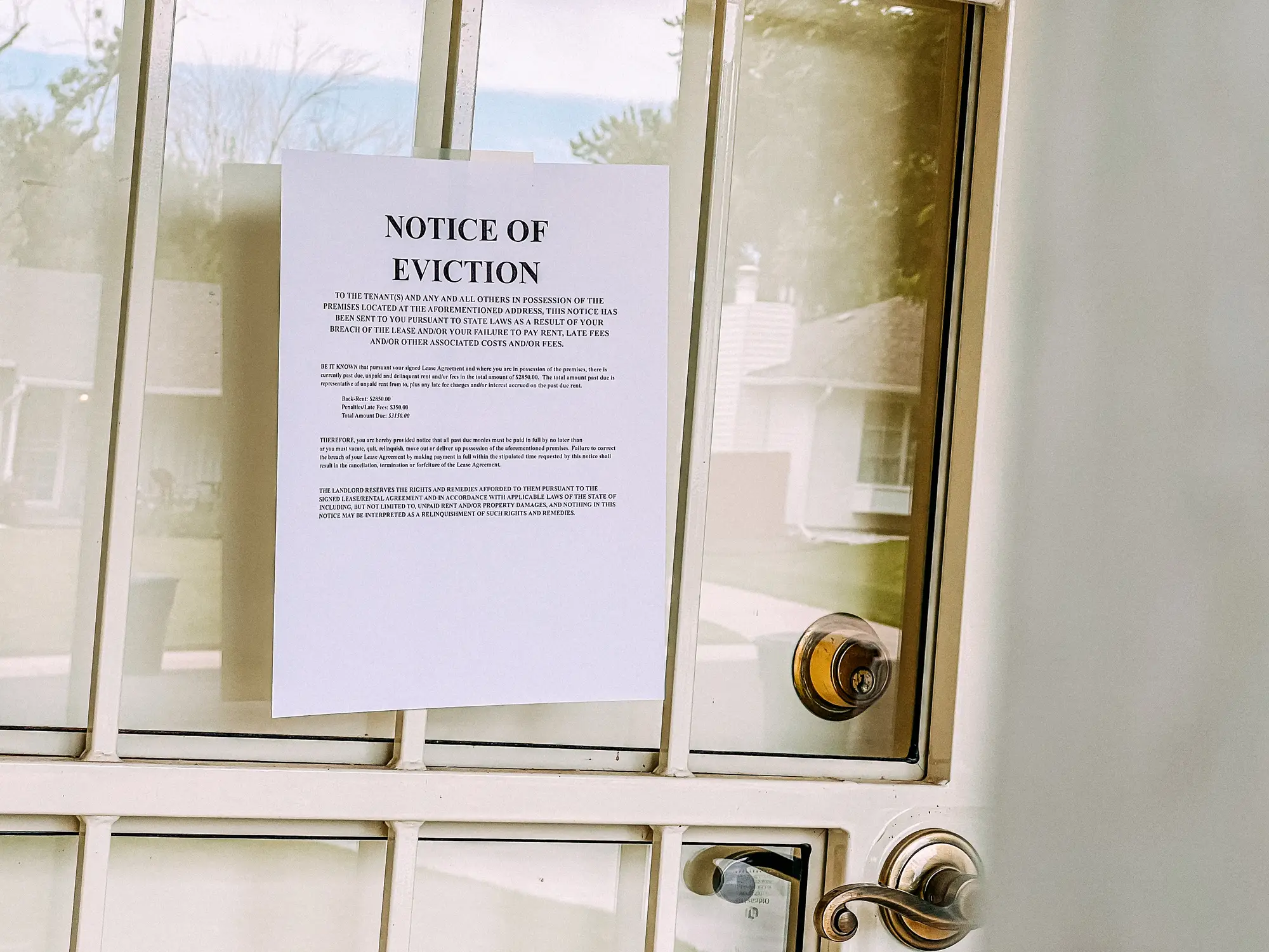 It proved very difficult for the woman to evict him (Getty Images)