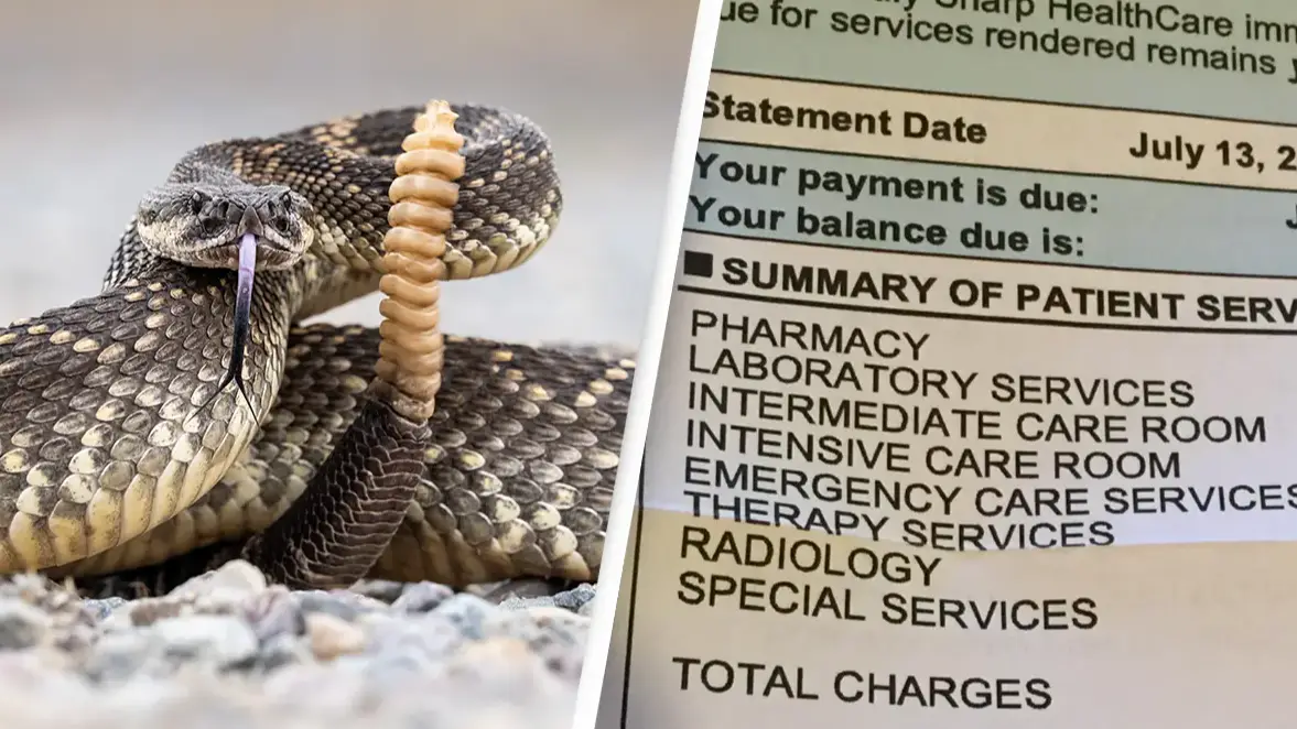 Getty Stock Image/HaggertyNews/Twitter